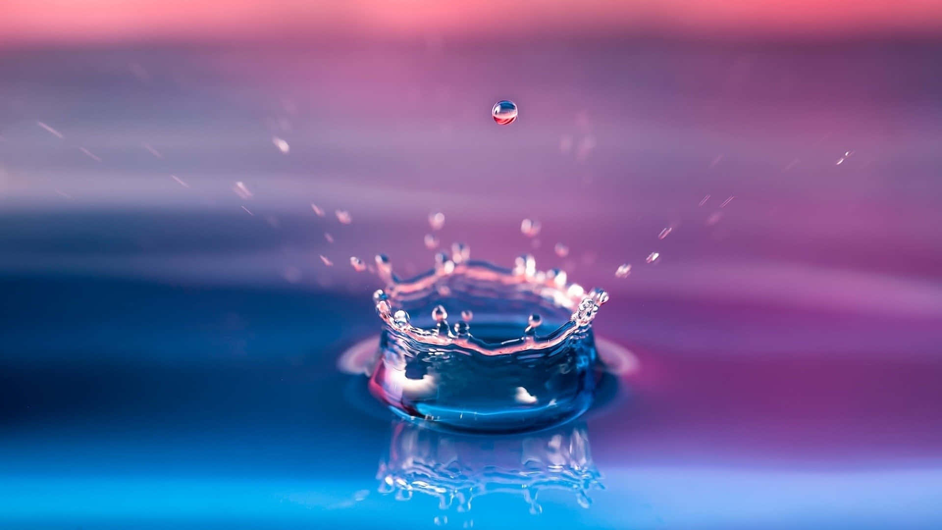 Water Droplet With Blue And Pink Background Background