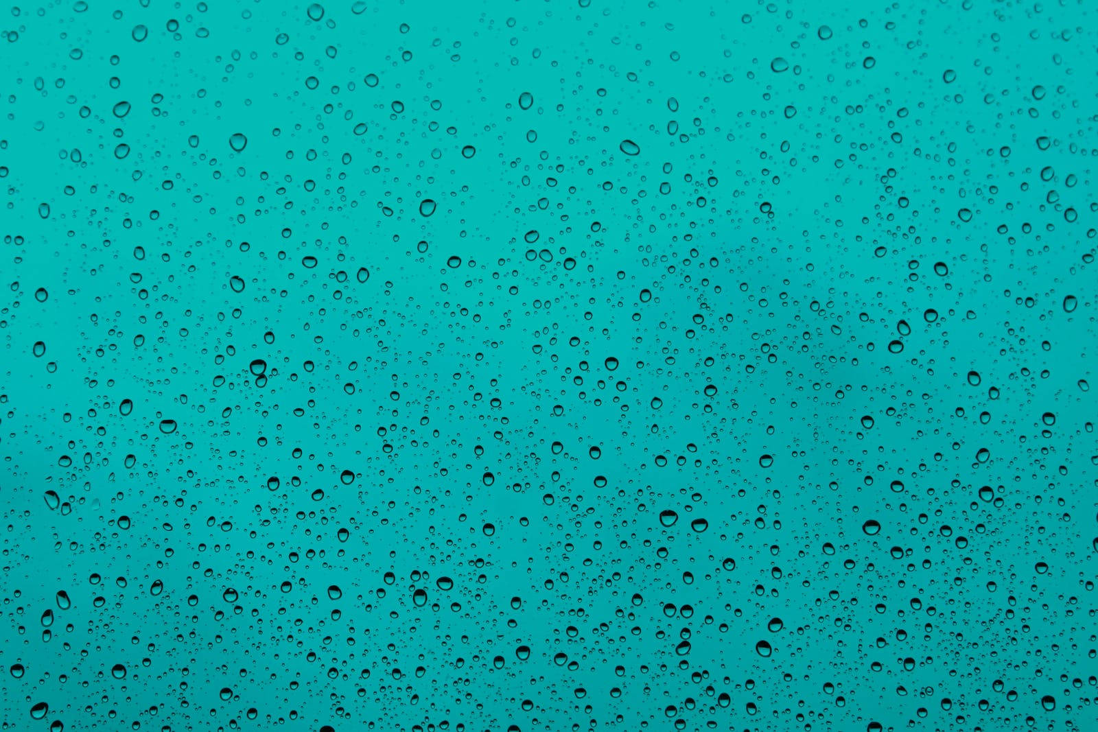 Water Droplets After Raining Background