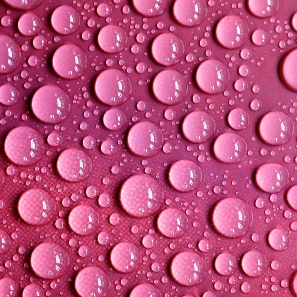 Water Droplets On A Pink Background Background