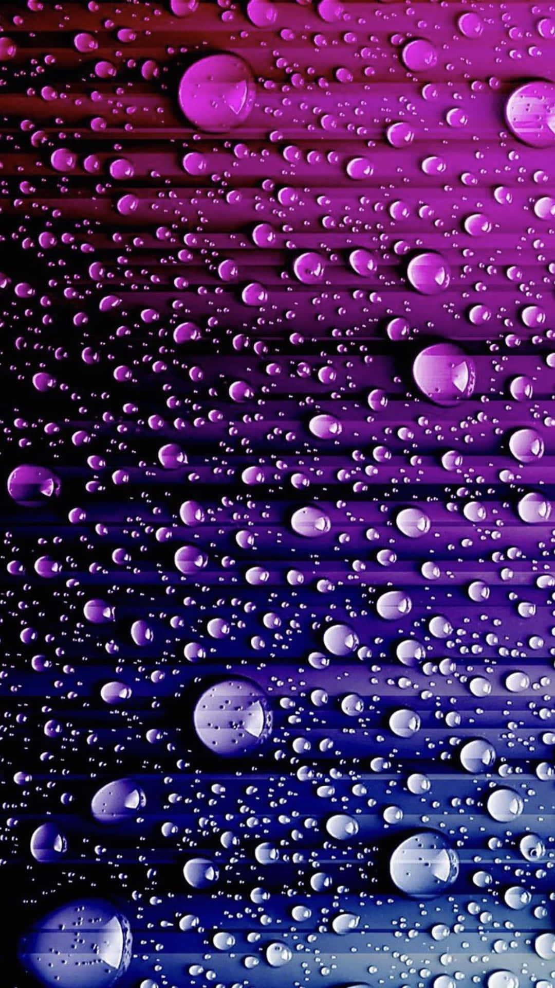 Water Droplets On A Purple Background