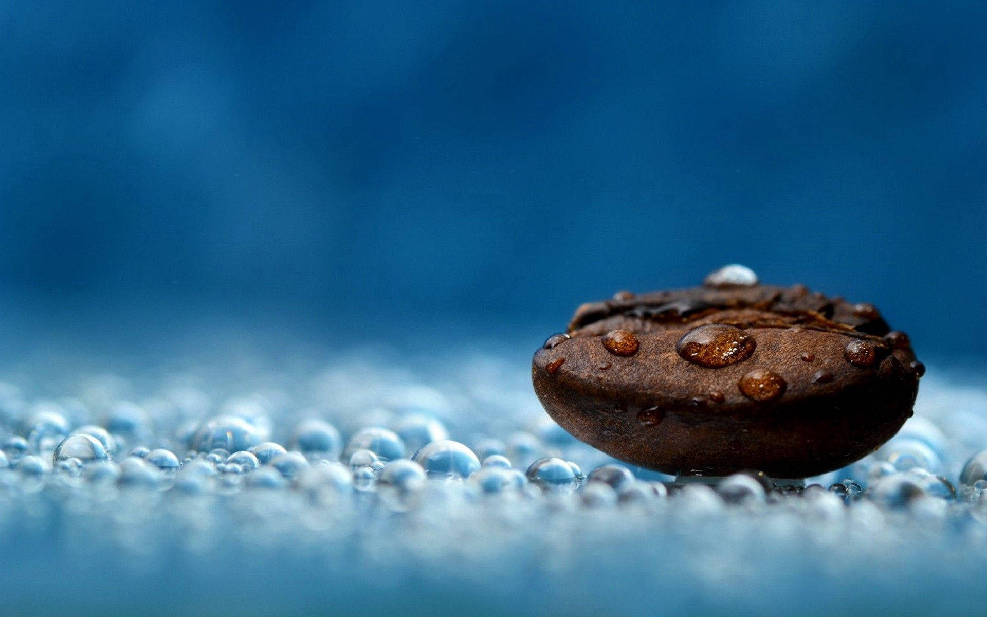 Water Droplets On Coffee Bean
