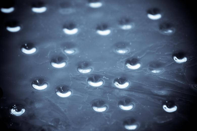 Water Droplets On Glass Background