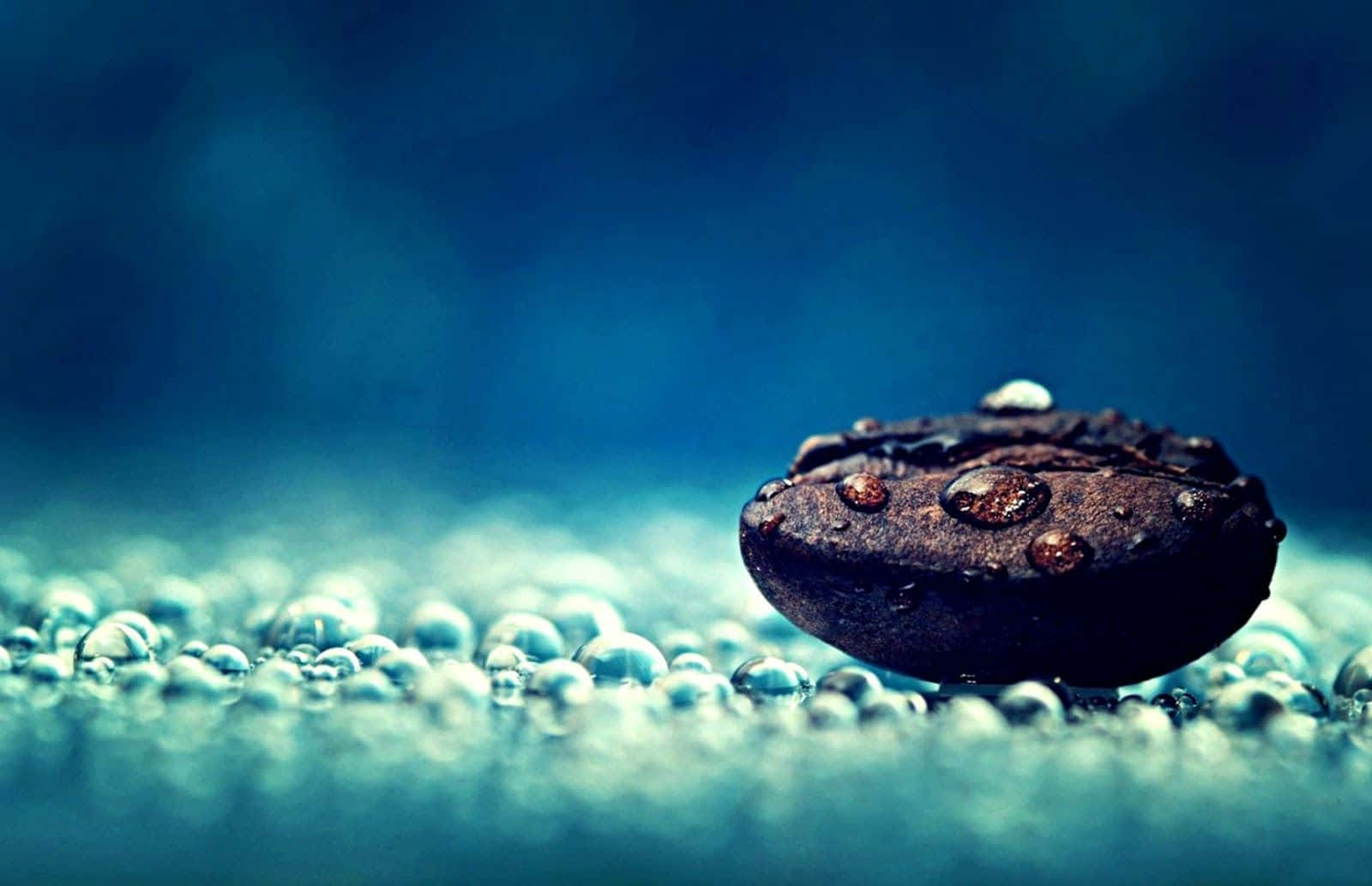 Water Droplets On Rock Nice Desktop Background