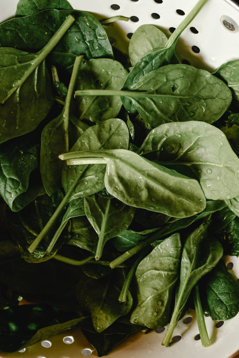 Water Droplets Spinach