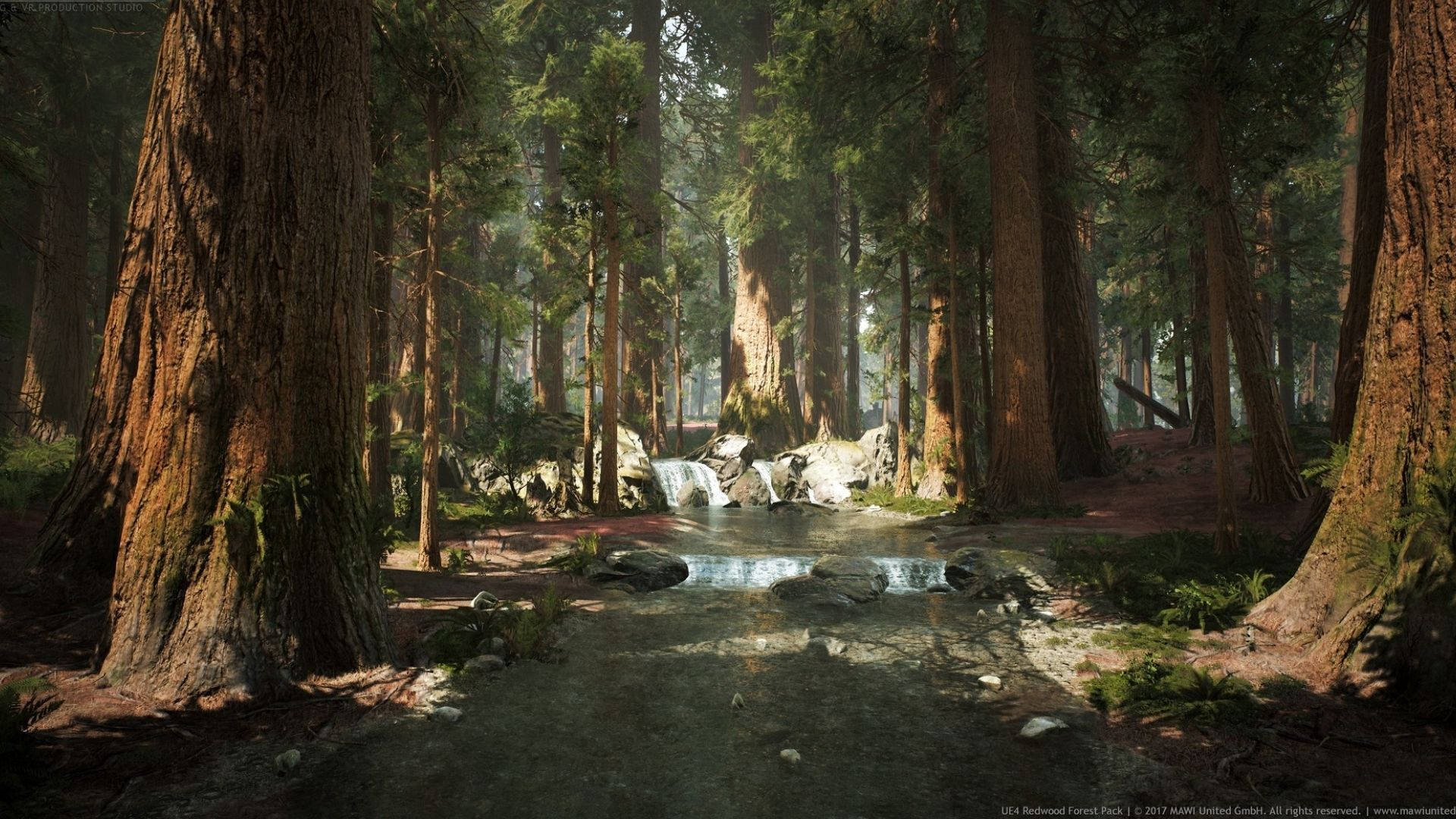 Water In The Redwood Forest Background