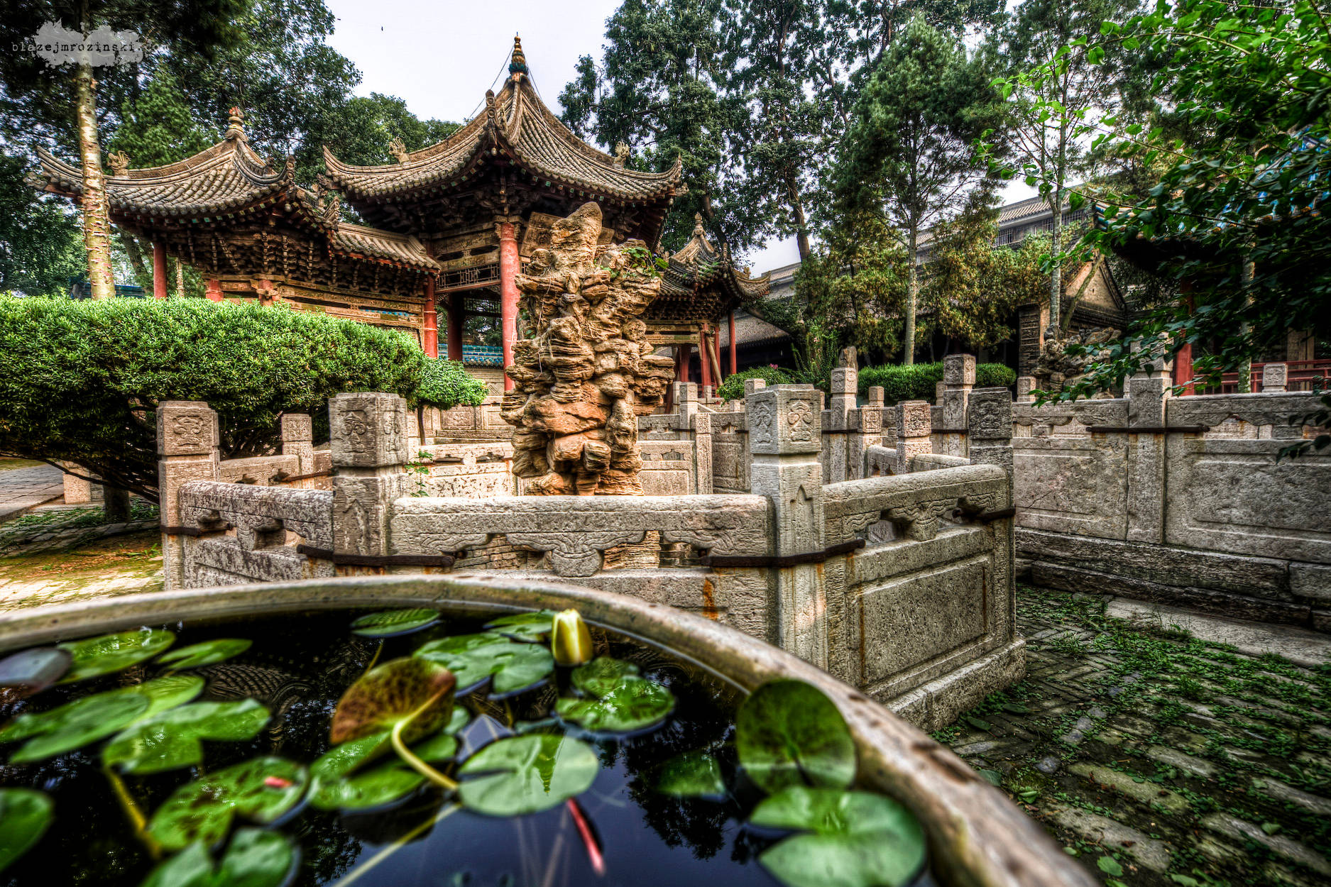 Water Lilies On Xian Mosque Background