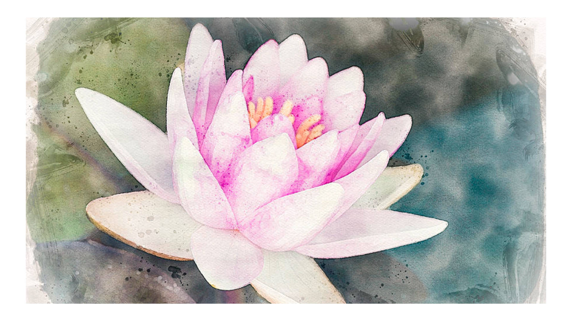 Water Lily In Water Color Painting Background