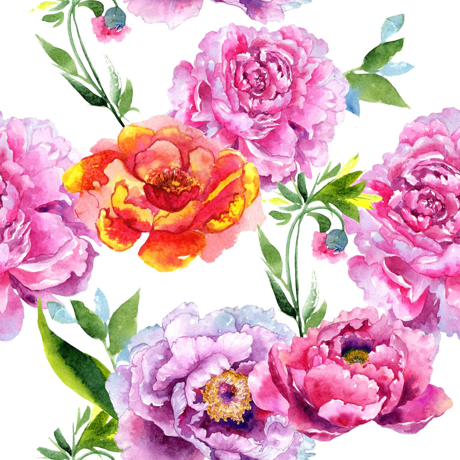 Watercolor Floral Patterns With Carnation Background