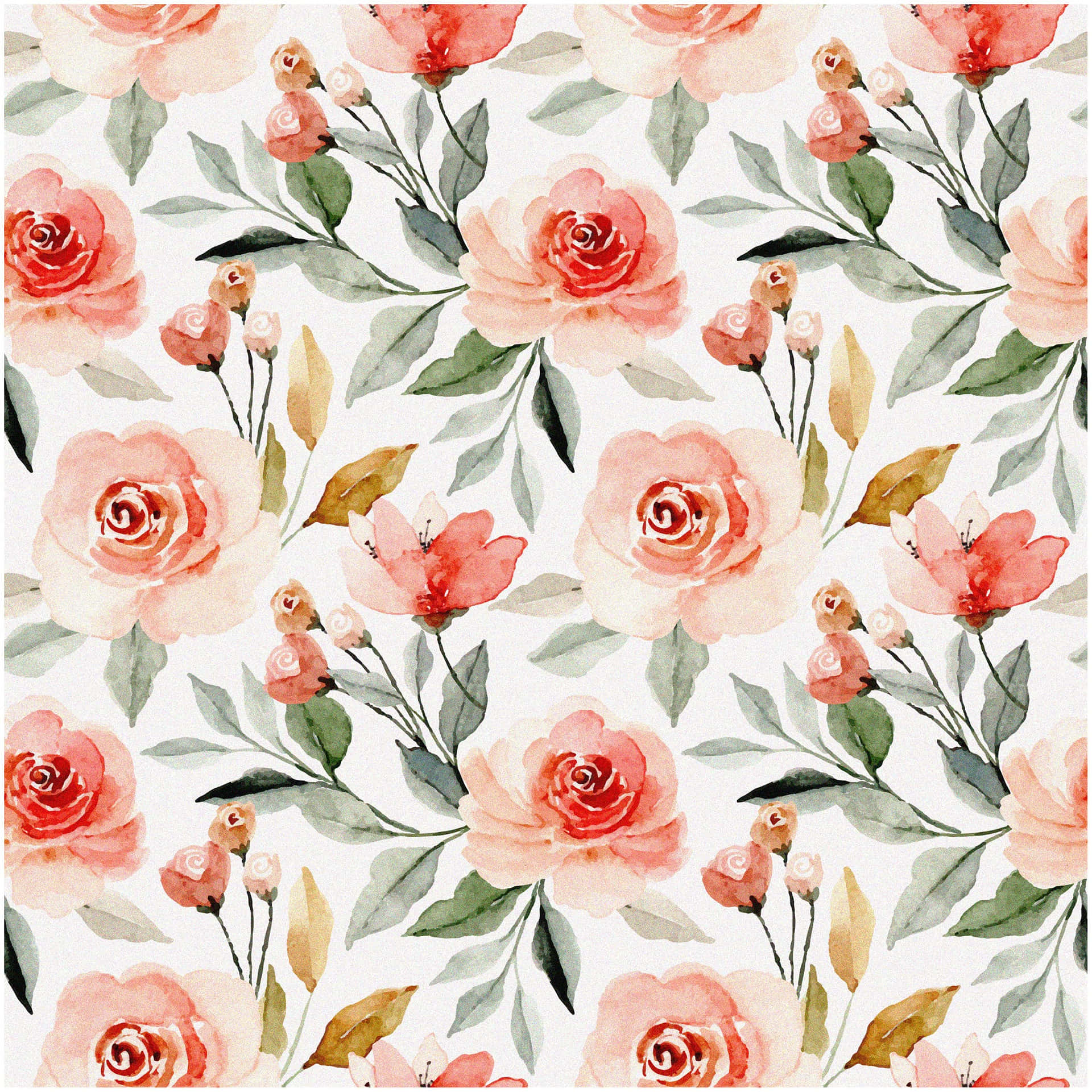 Watercolor Floral Patterns With Pink Rose Background