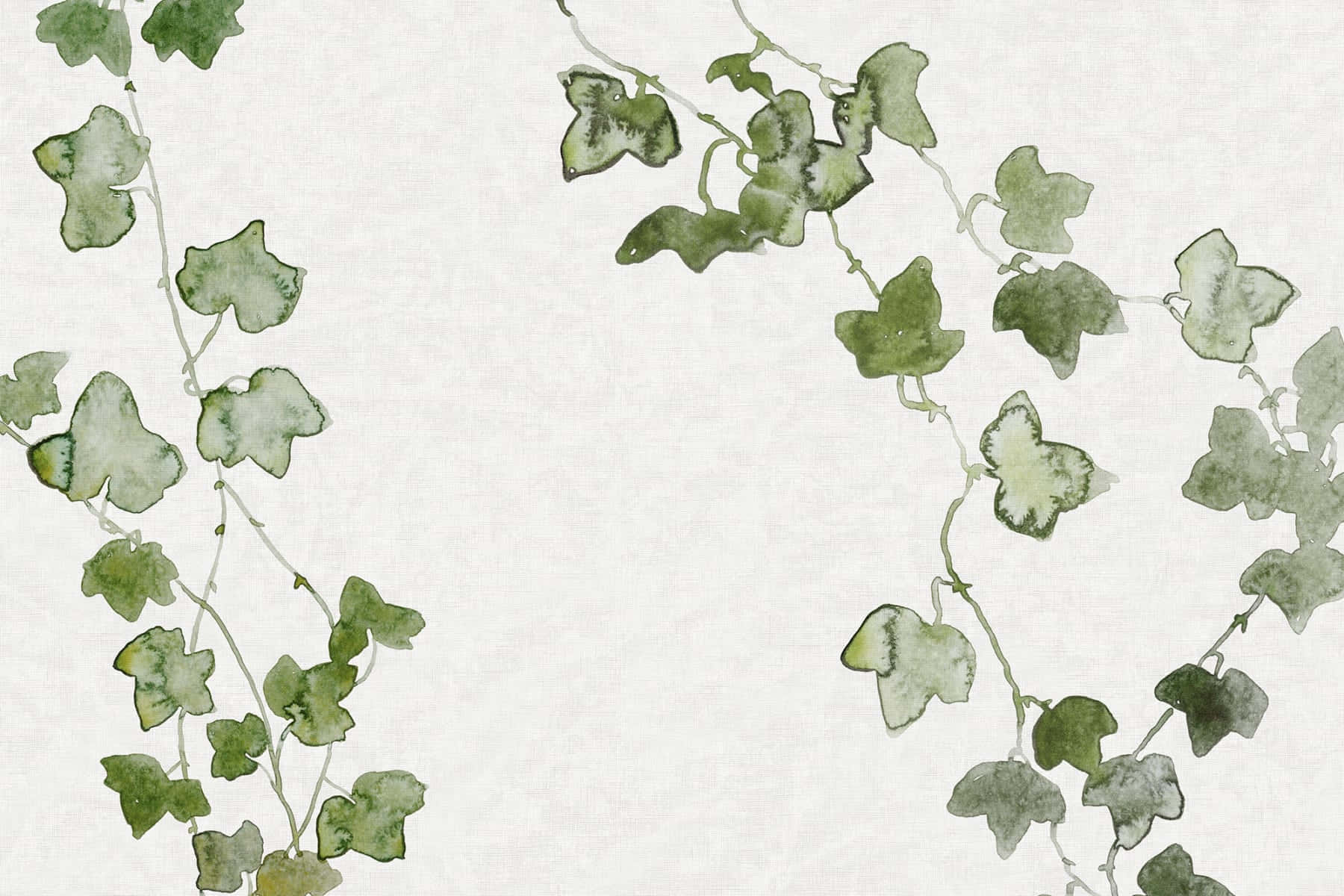 Ivy Backgrounds