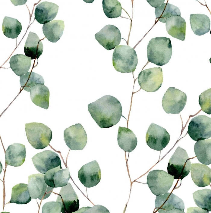 Watercolor Paint Eucalyptus Background