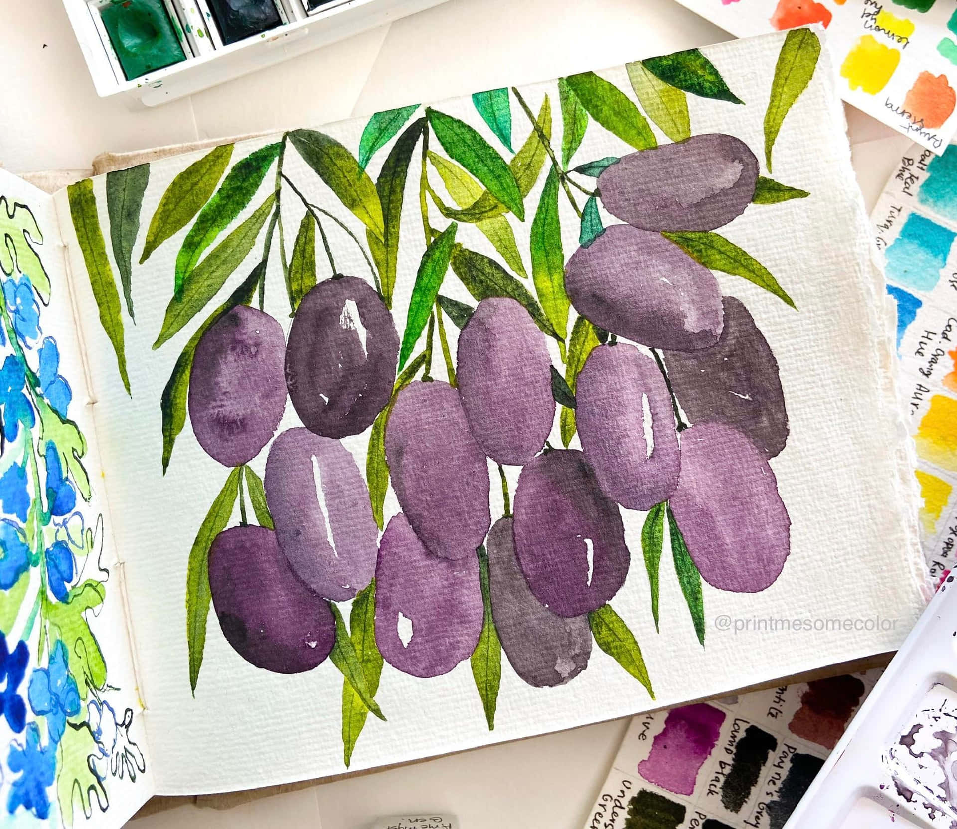 Watercolor Painting Of A Java Plums Background