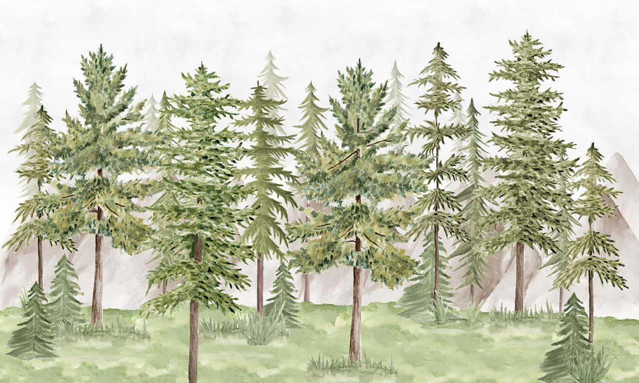 Watercolor Pine Forest Illustration Background