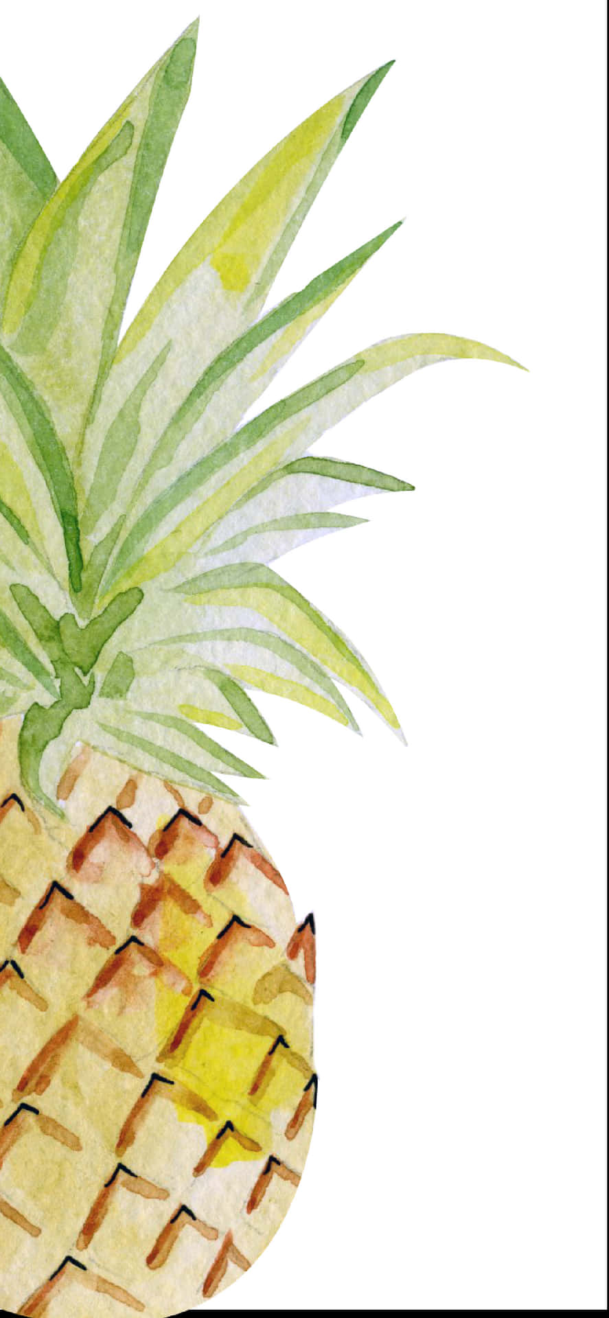 Watercolor Pineapple Clip Art