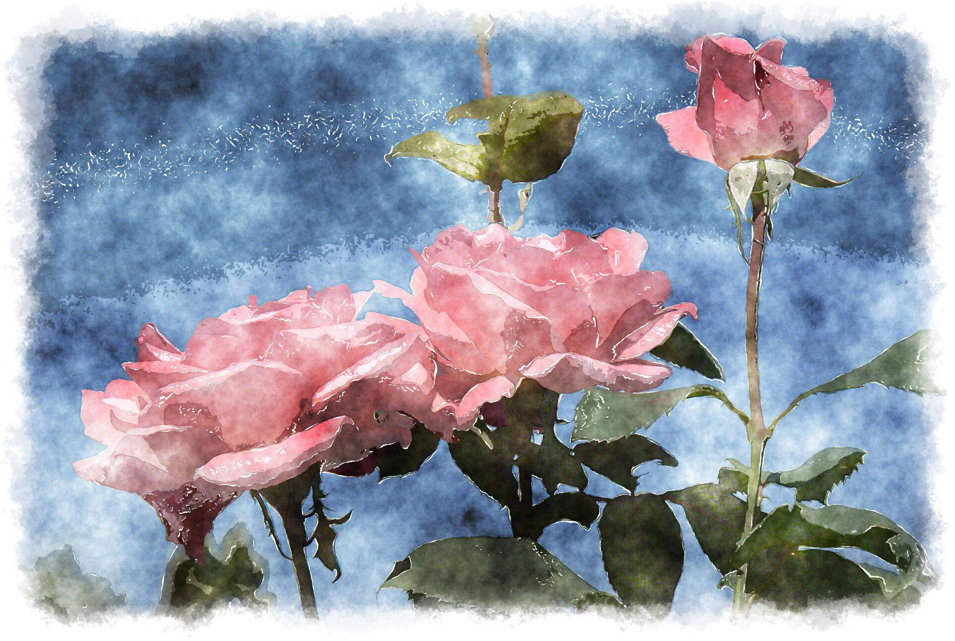 Watercolor Rose Aesthetic Background