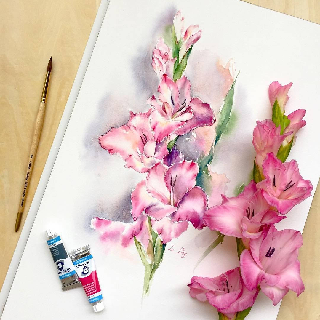 Watercolors And Gladiolus Flowers Background