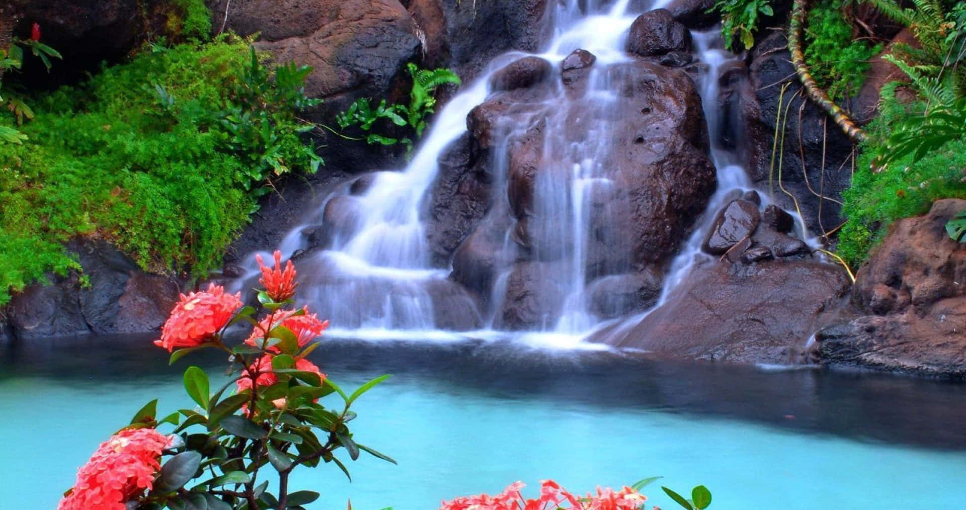 Waterfall Desktop With Jungle Geranium Flowers