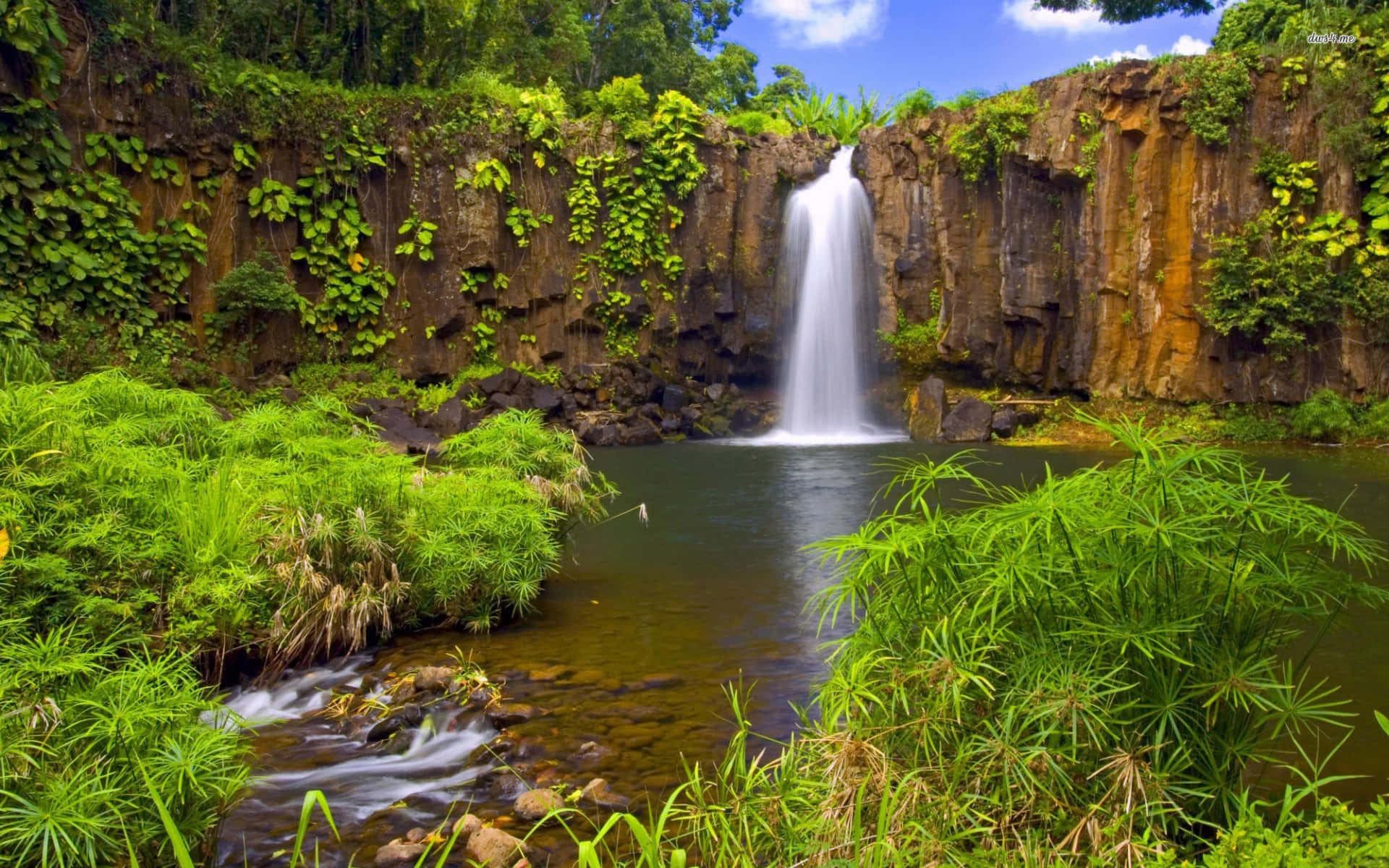 Waterfall In A Jungle Desktop Background