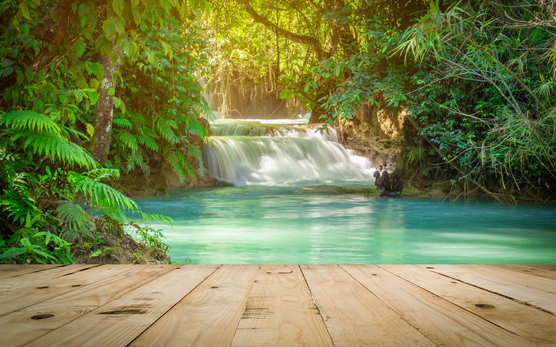 Waterfall In Rainforest Tropical Desktop