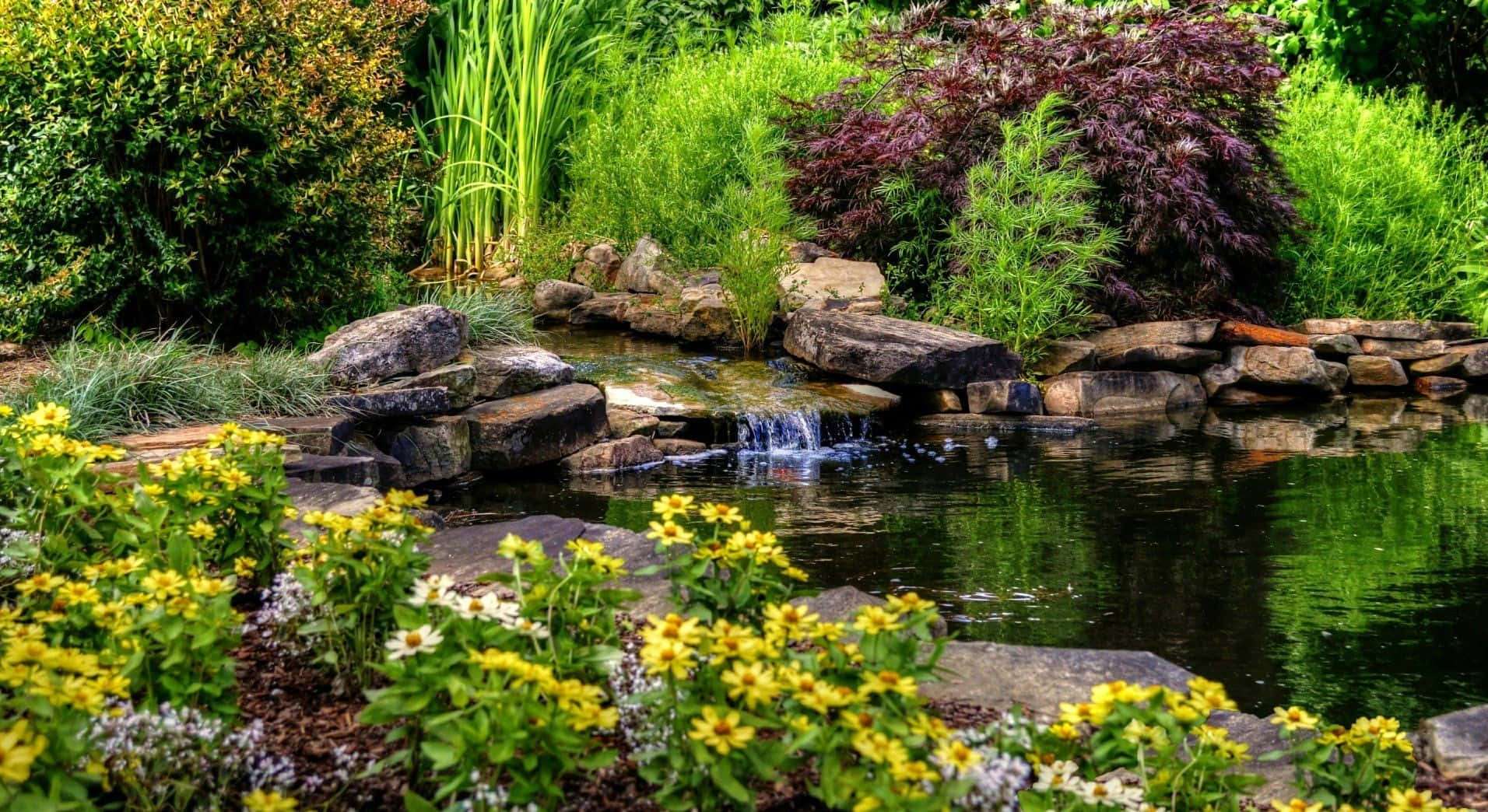 Waterfall Meets The Pond Background