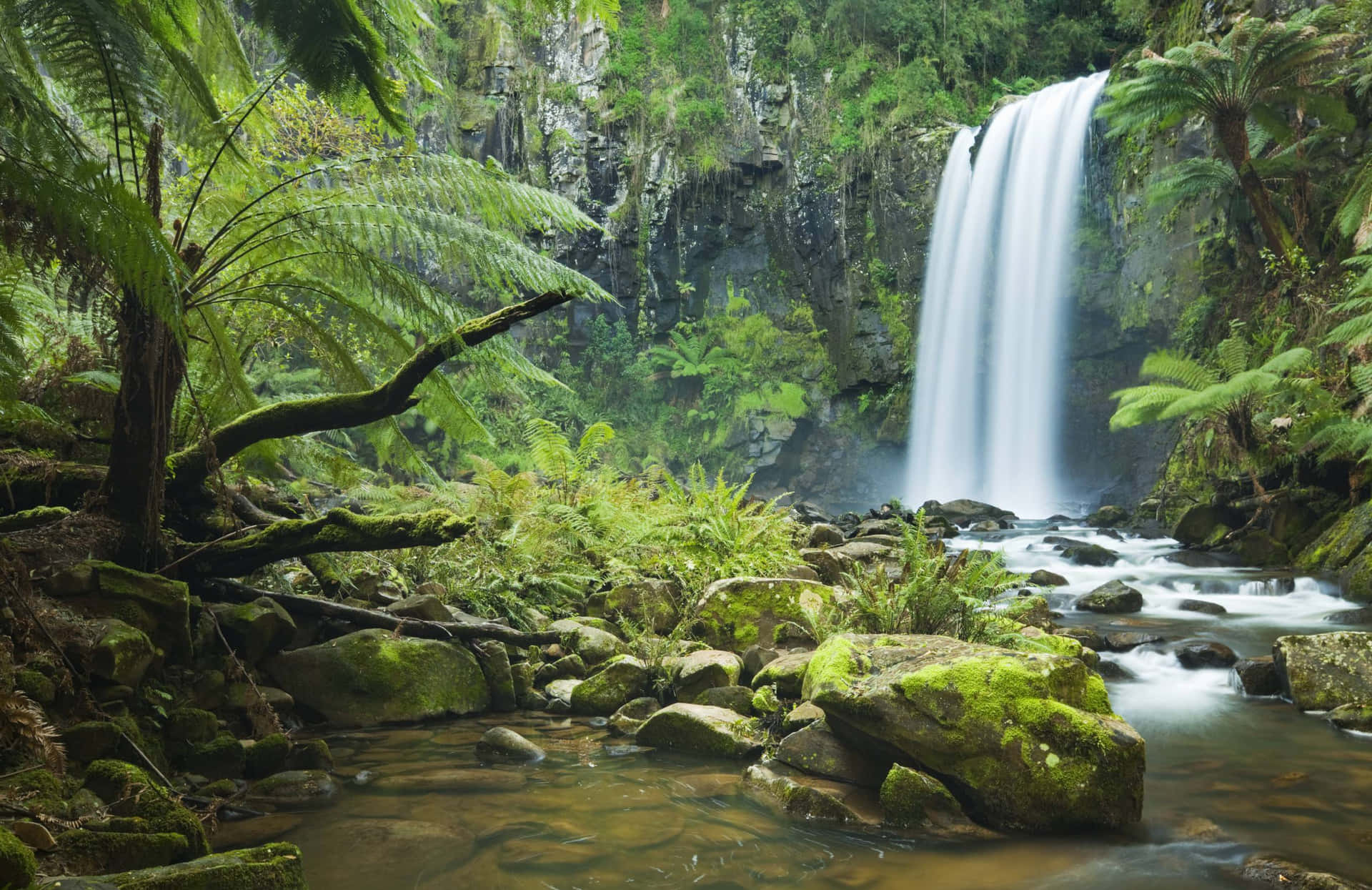 Waterfall Nature Scenes Background