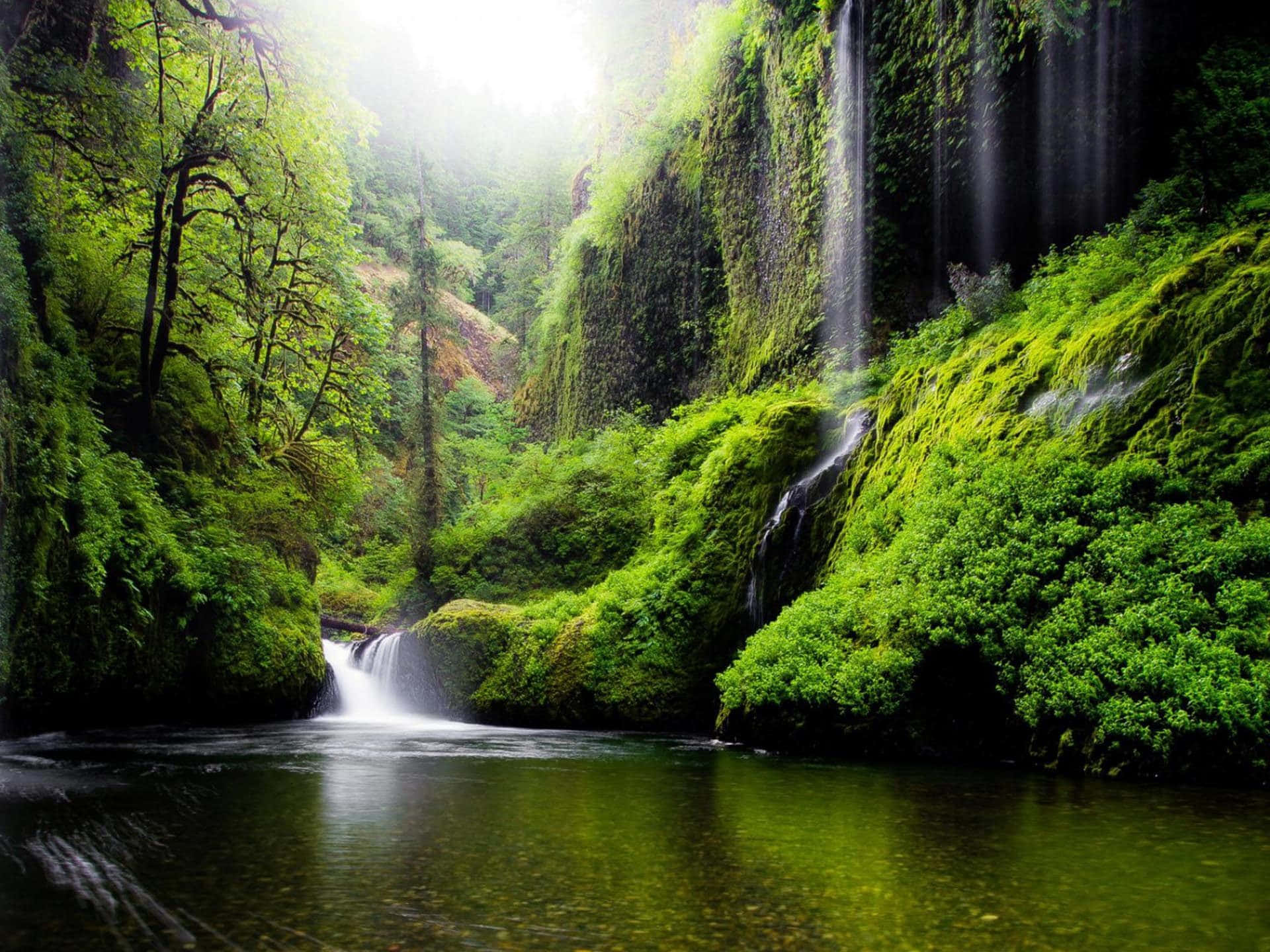 Waterfall River Forest Nature Photography Background