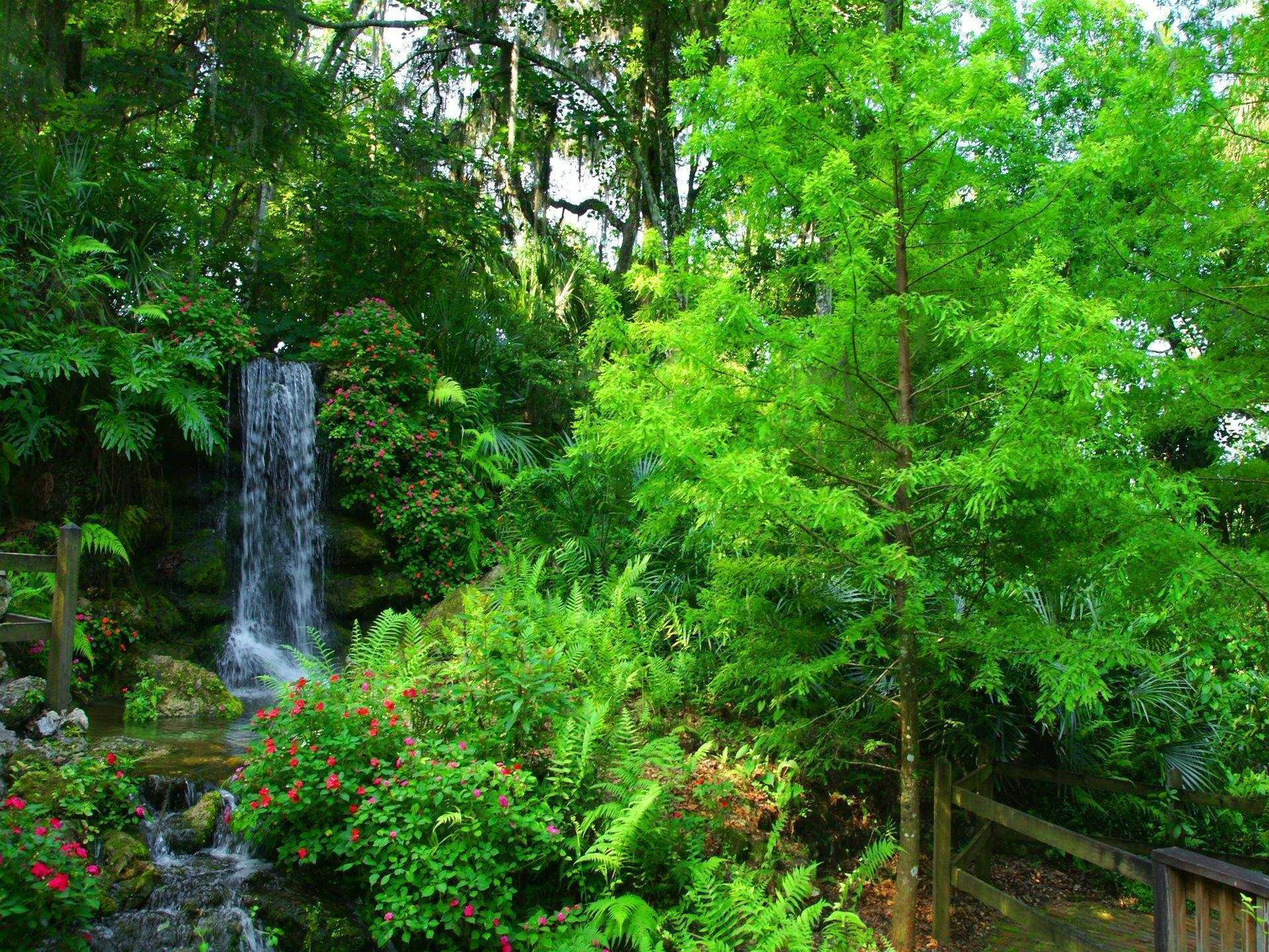 Waterfall Surrounded By Greenery Background