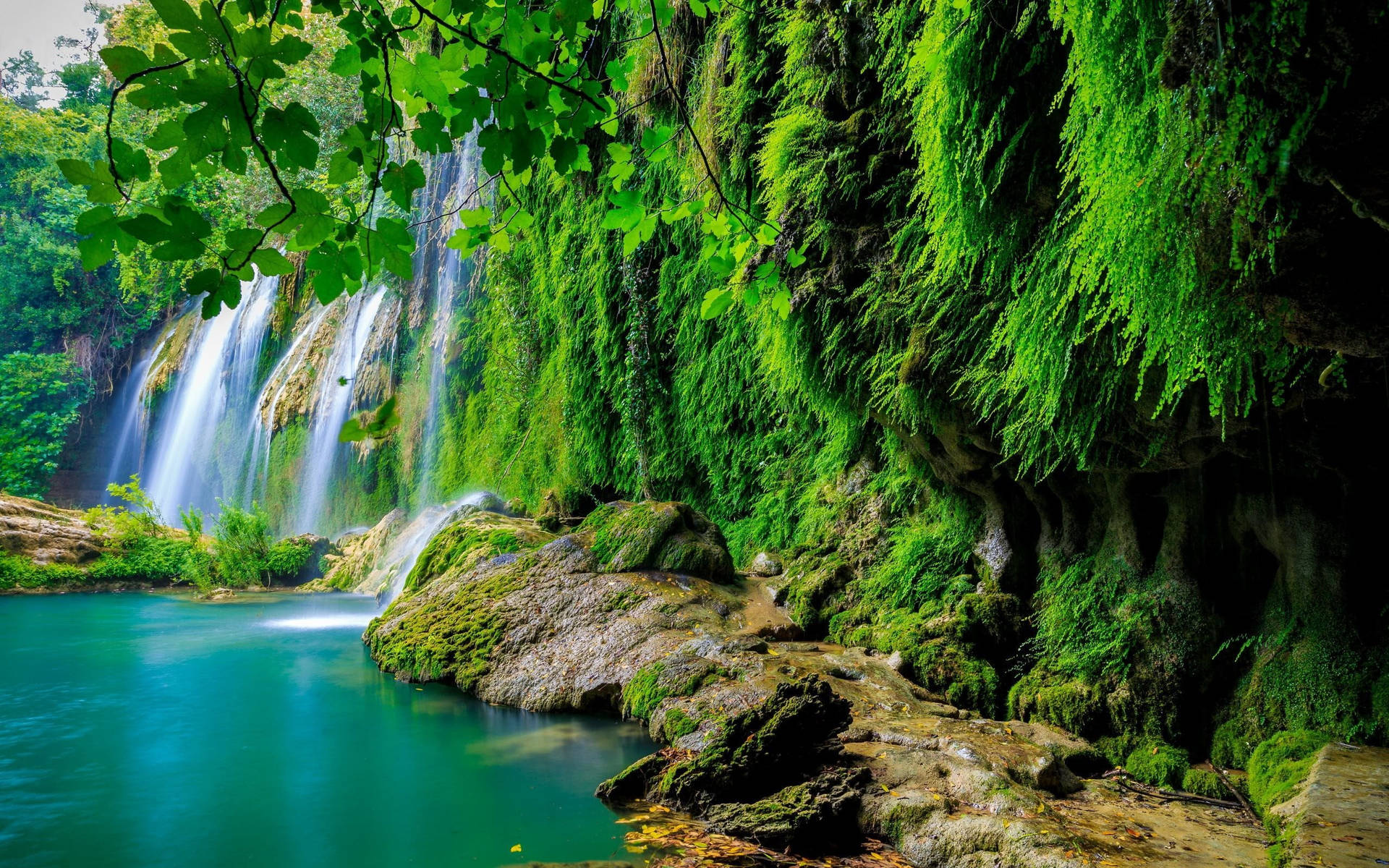 Waterfalls In A Rainforest Tropical Desktop Background