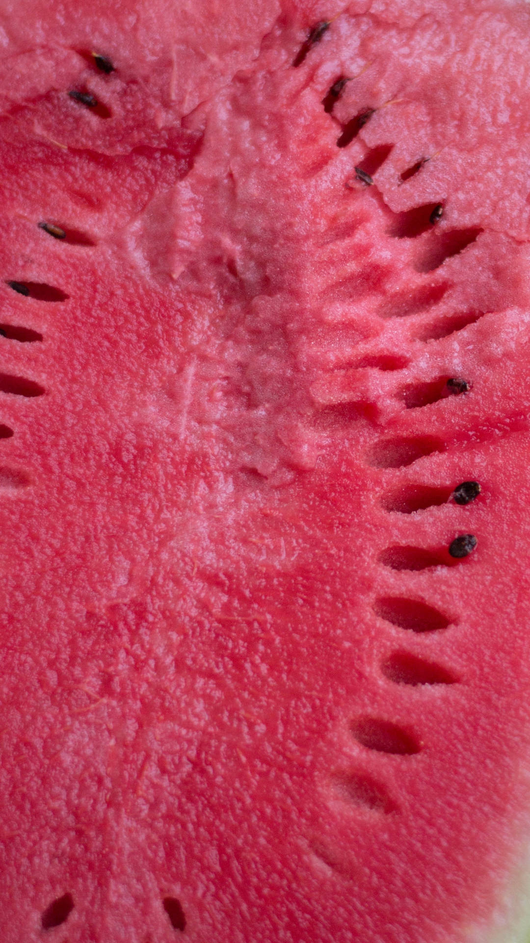 Watermelon Seeds Macro Shot Background