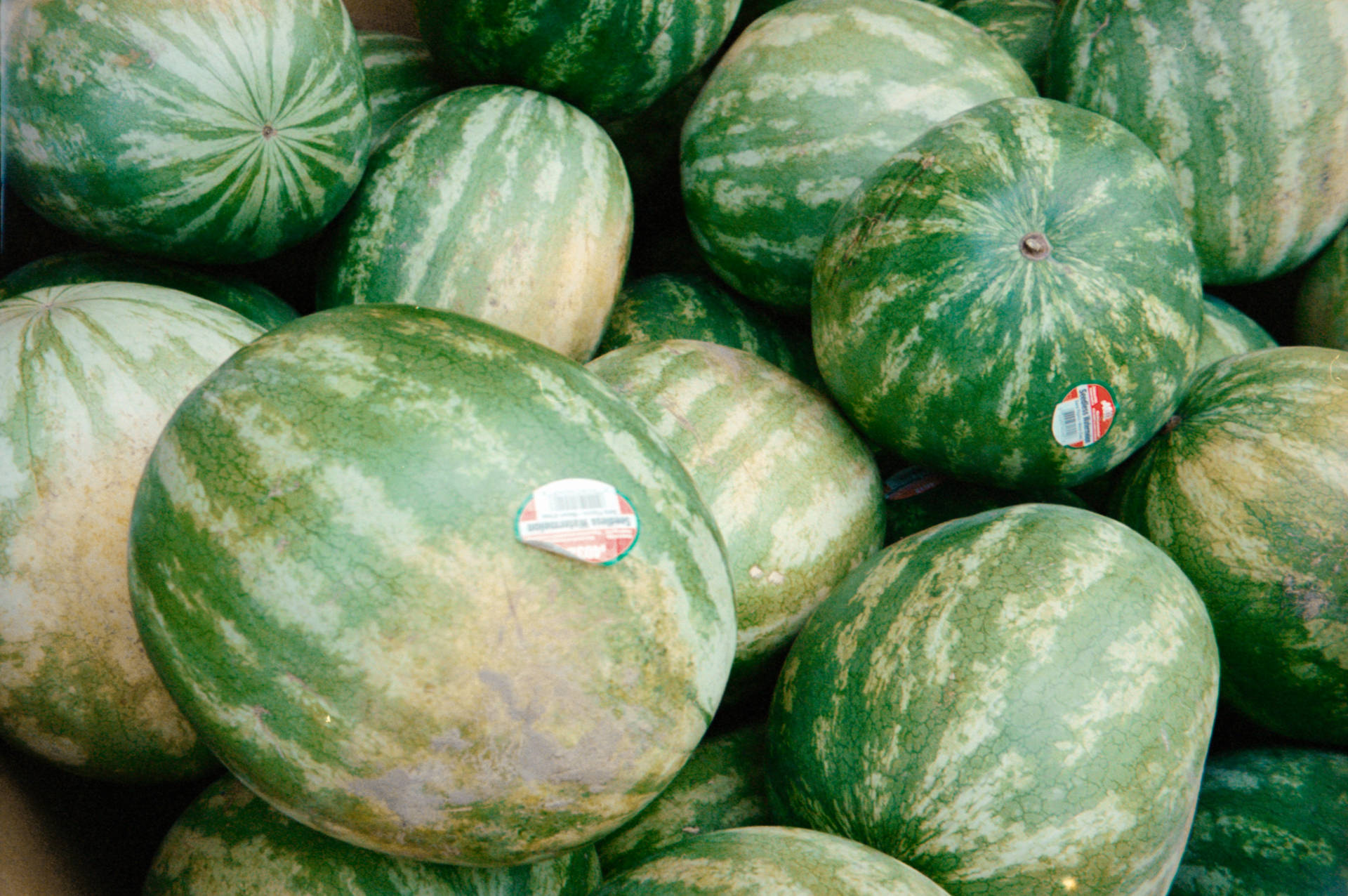 Watermelon With Store Tag Background