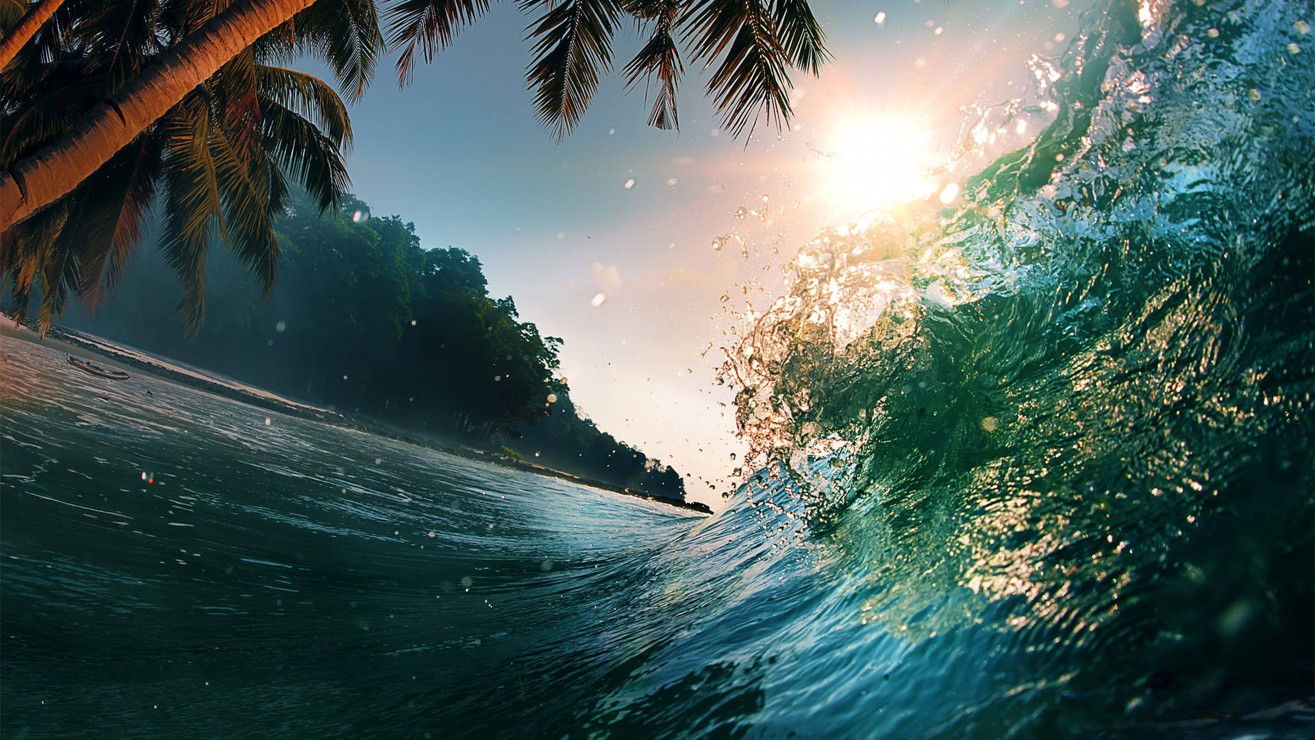 Wave On Island With Coconut Background