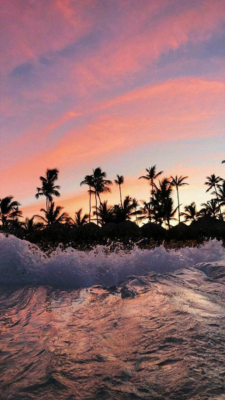 Waves And Palm Trees Malibu Iphone Background