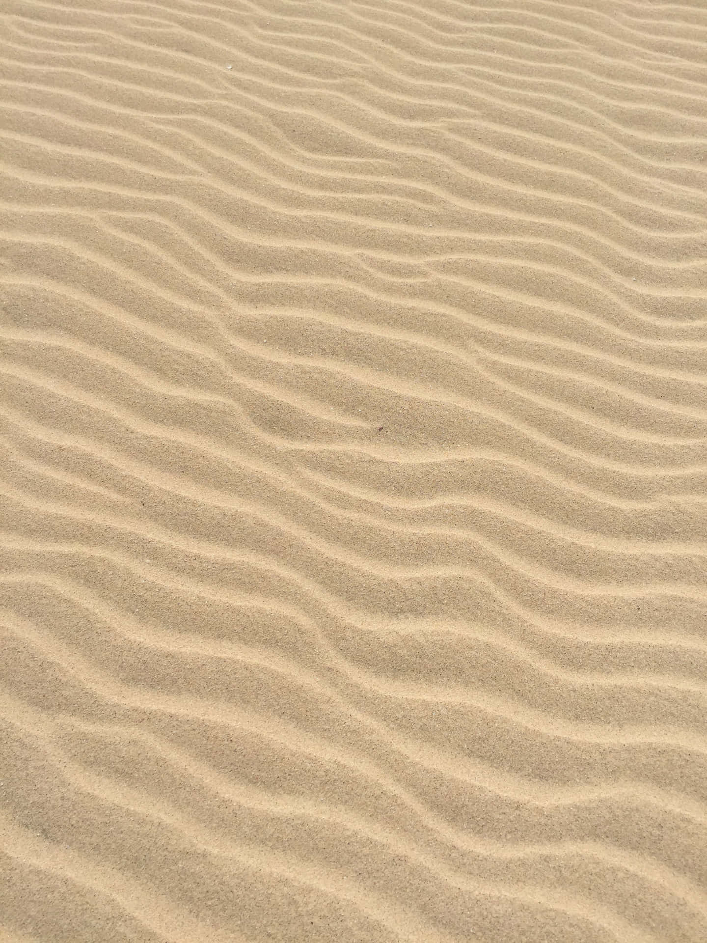 Wavy Sand Pattern Scheme