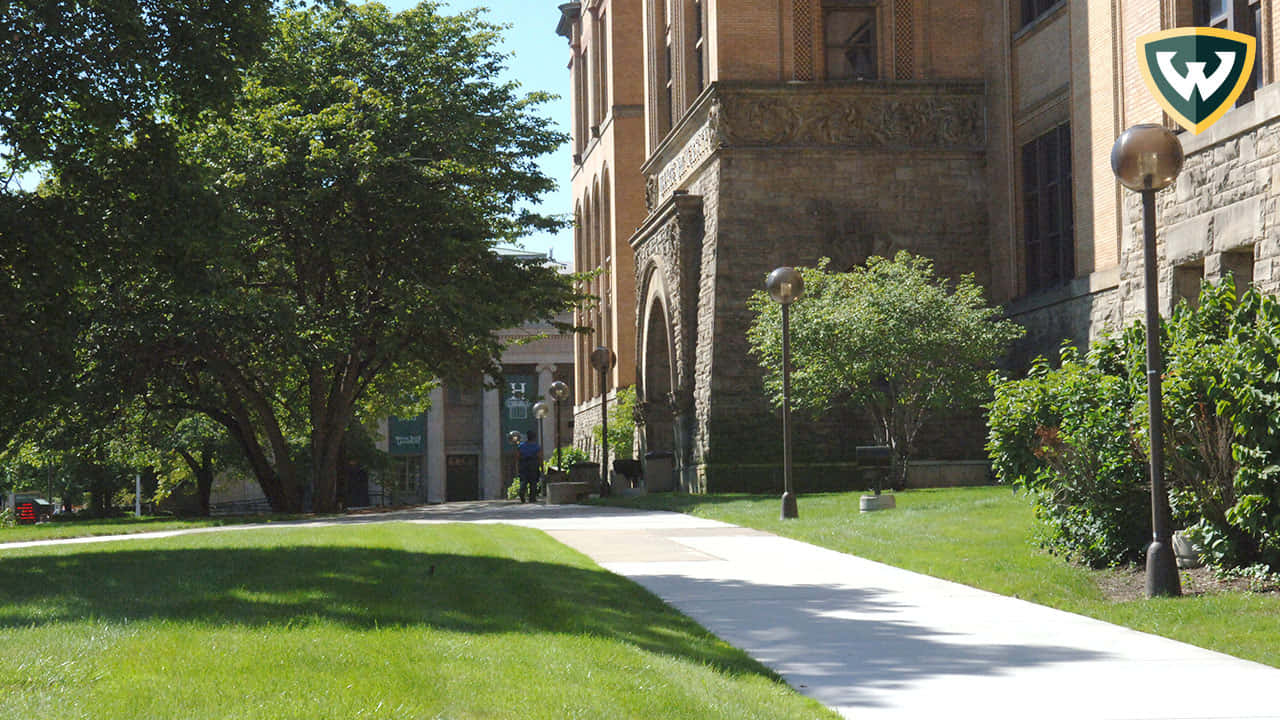 Wayne State University Path Background