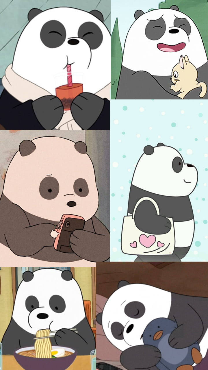 We Bare Bears Aesthetic Panda Mood Background