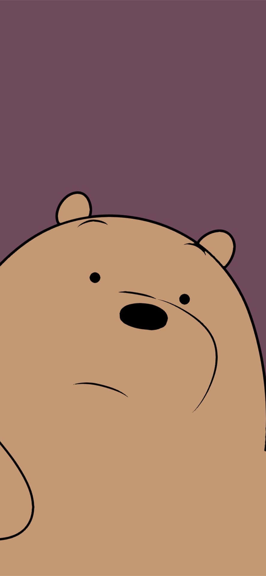 We Bare Bears Grizzly Bear Expression Background