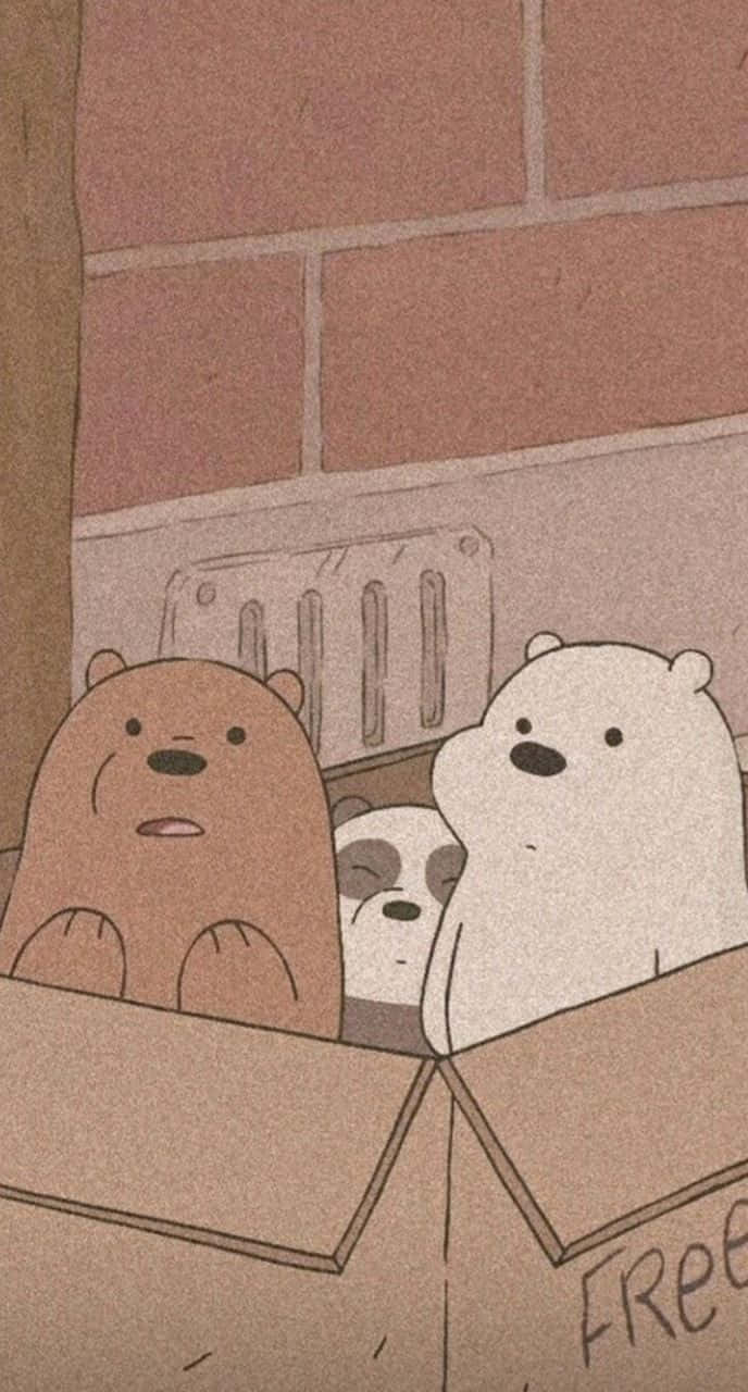 We Bare Bears In Box