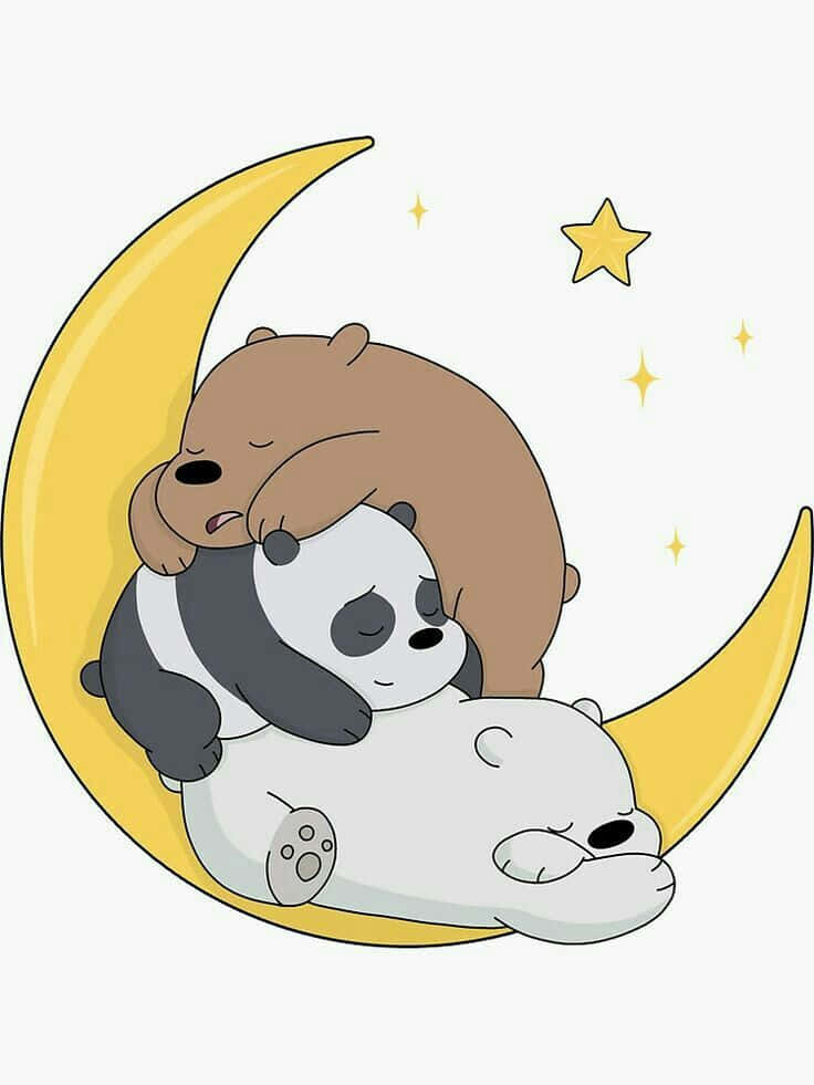 We Bare Bears Moon Nap Background