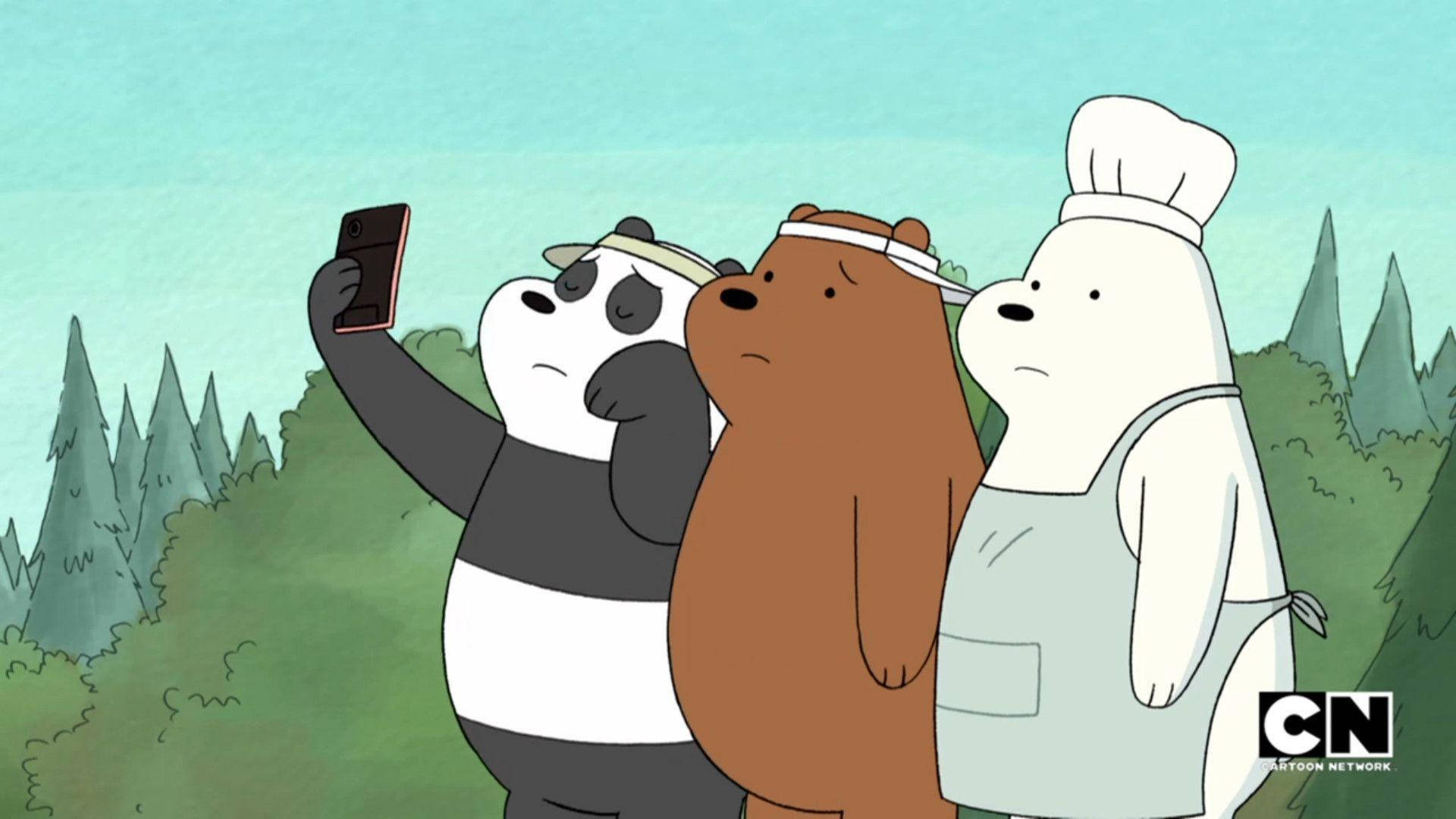 We Bare Bears Sad Selfie Background