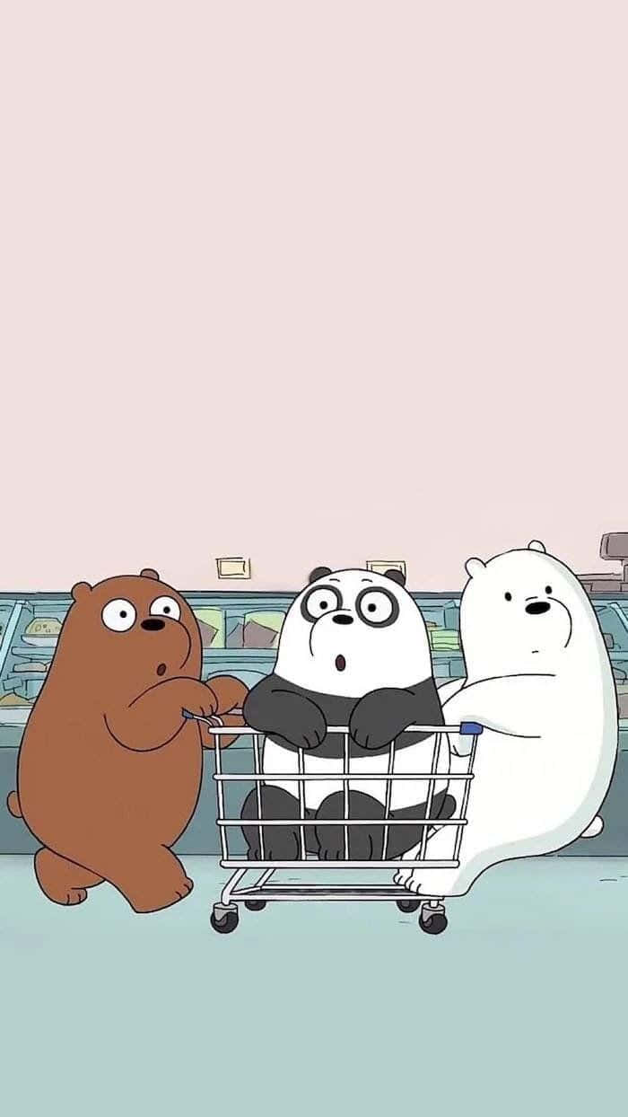 We Bare Bears Shopping Cart Fun Background