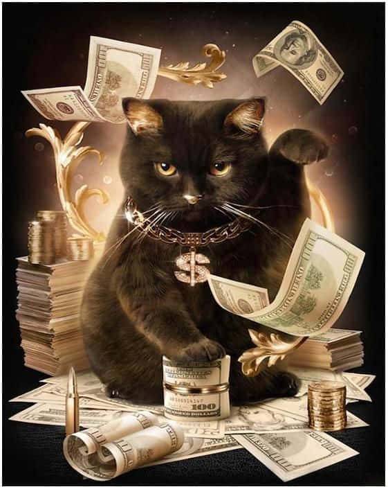 Wealthy Boss Cat