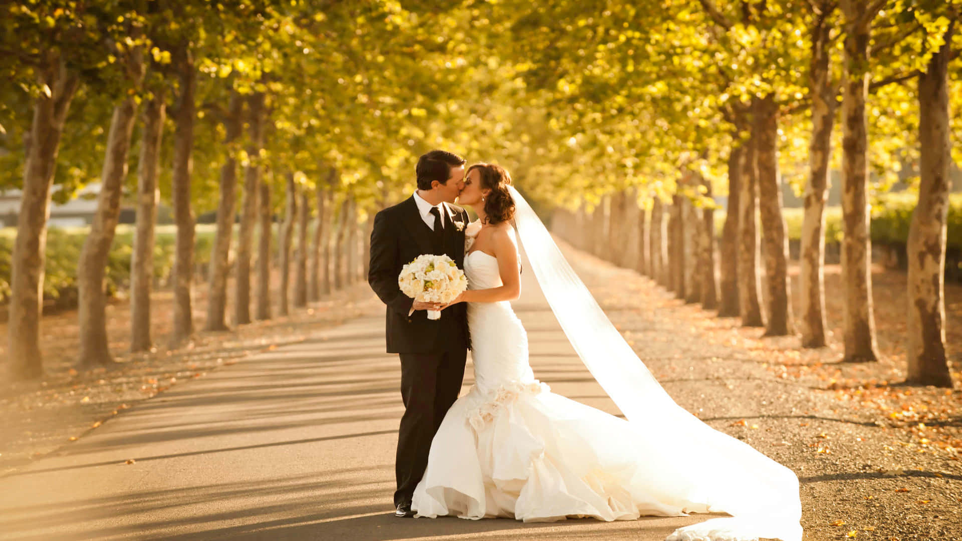 Wedding Couple Middle Of Road