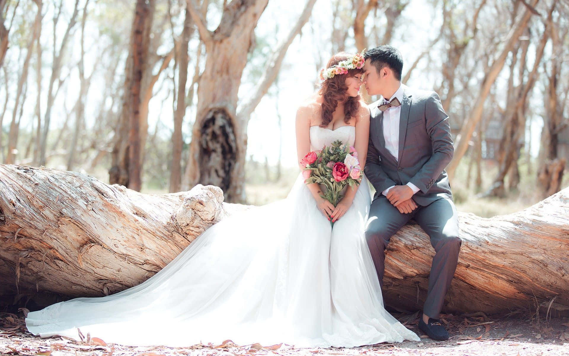 Wedding Couple Tree Wood Background