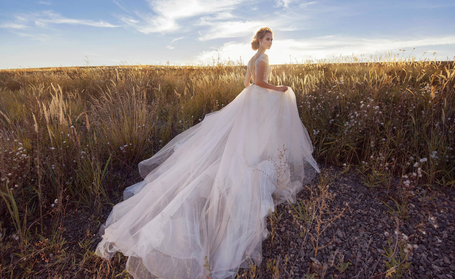 Wedding Dress In The Field Background