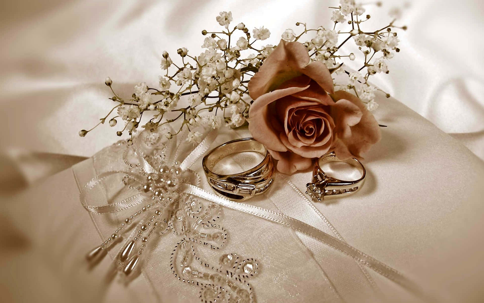 Wedding Ring And Rose Flower Background