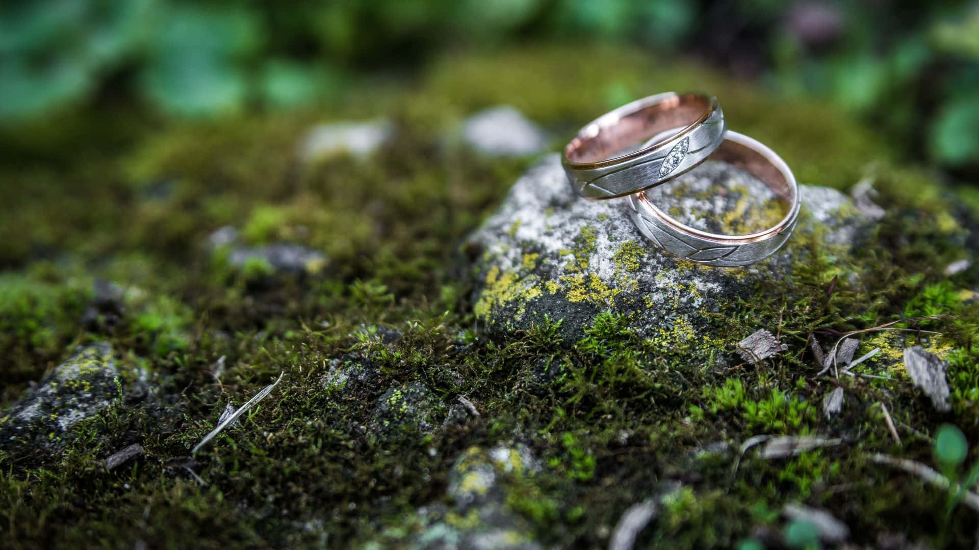 Wedding Ring On Mossy Rock Background