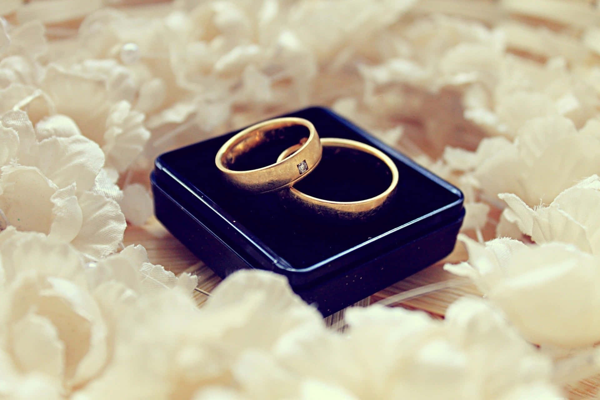 Wedding Ring On The Box With Petals Background