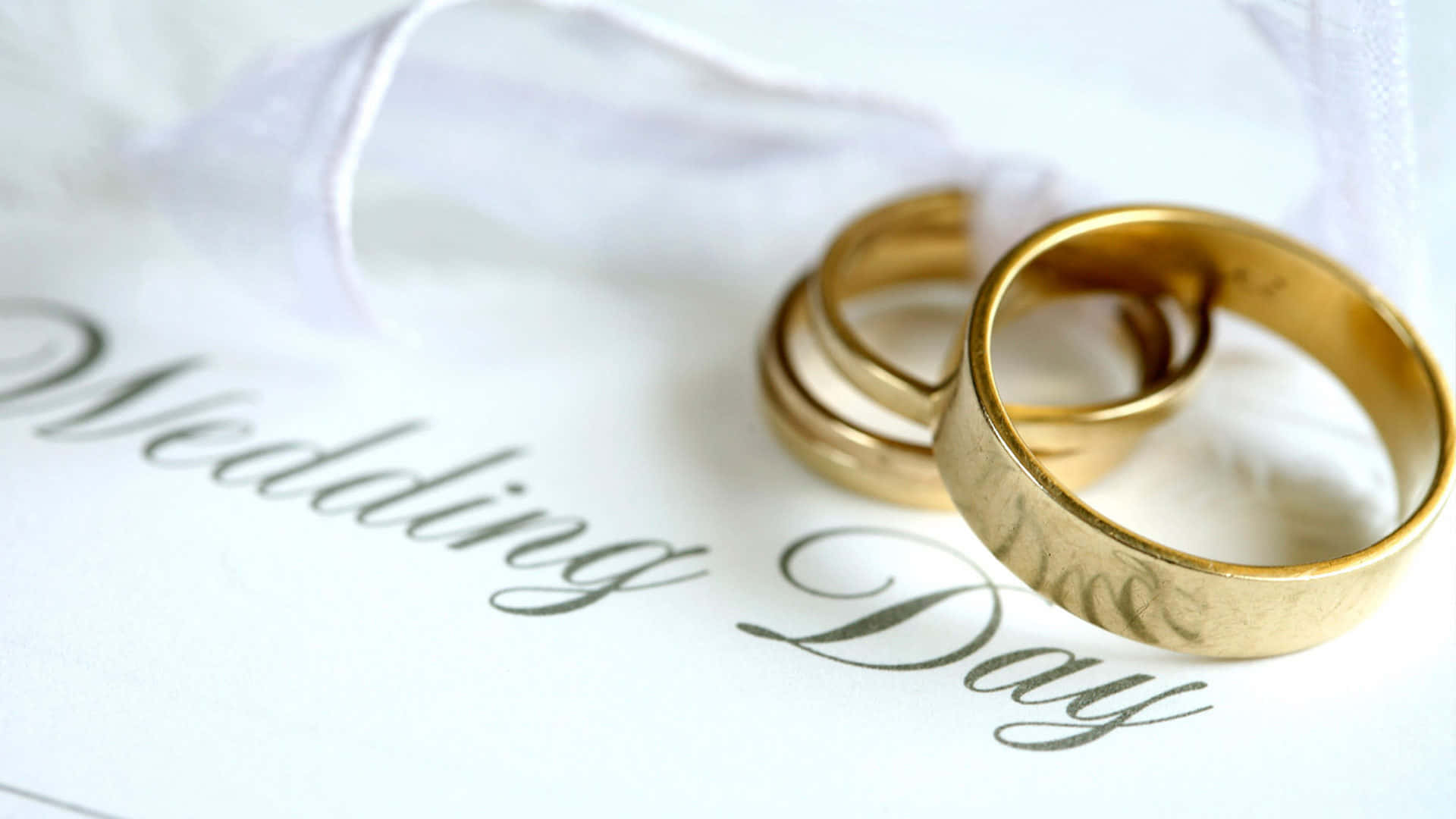 Wedding Ring On Wedding Day Background