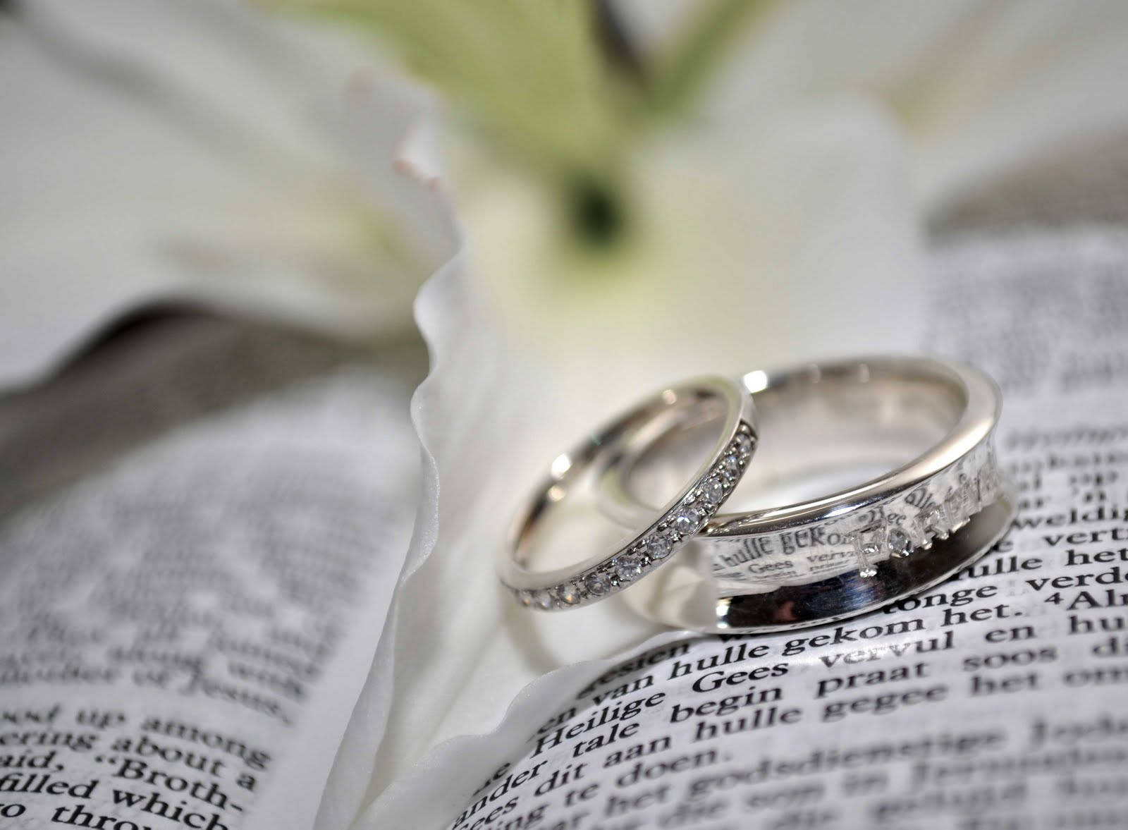 Wedding Rings And Book Background