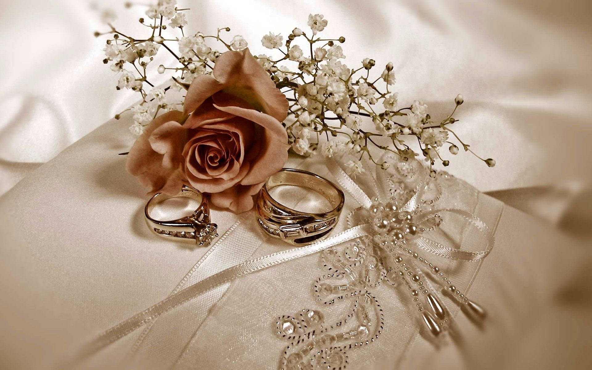 Wedding Rings And Flower Background